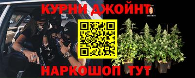 альфа пвп Кингисепп