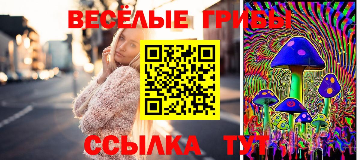 Псилоцибиновые грибы MAGIC MUSHROOMS  Вход с VPN  наркота  Клинцы 
