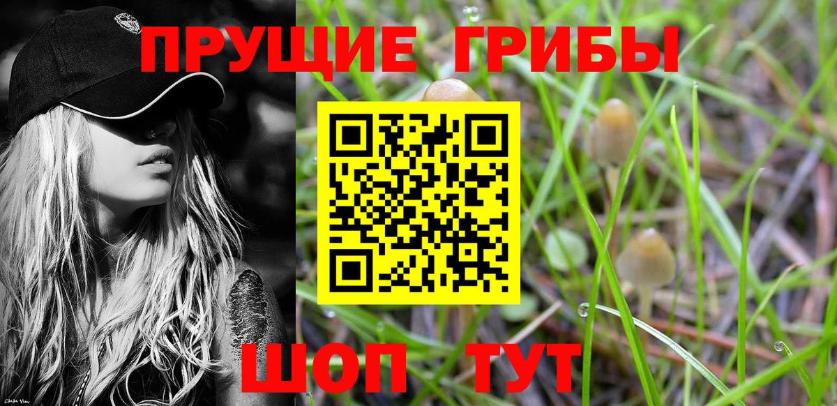 Галлюциногенные грибы GOLDEN TEACHER Клинцы